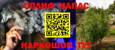 дурь Бийск