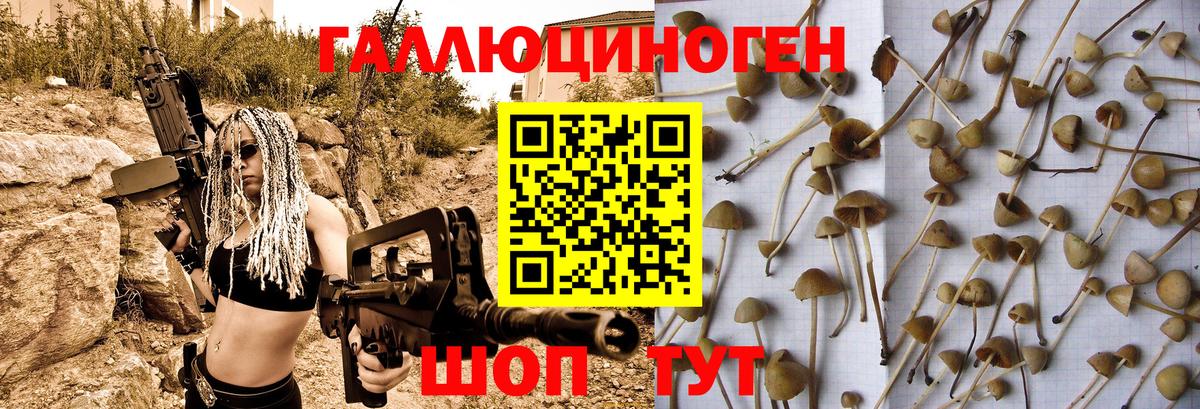 Златоуст  Псилоцибиновые грибы ЛСД  Вход с VPN  Псилоцибиновые грибы мицелий 