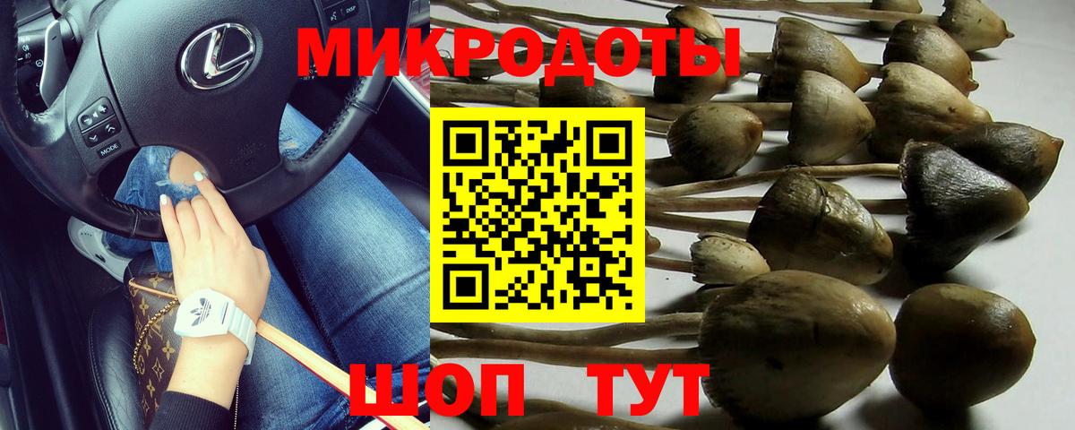 Псилоцибиновые грибы мухоморы Златоуст